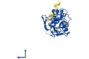 AlphaFold protein structure predicition of Human Recombinant UBE2M Protein, UniprotID P61081