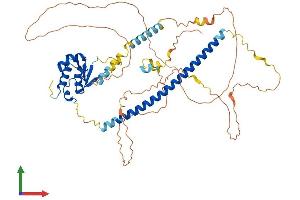 AlphaFold protein structure predicition of Mouse Recombinant Hsf2 Protein, UniprotID P38533