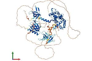 AlphaFold protein structure predicition of Human Recombinant ARHGAP12 Protein, UniprotID Q8IWW6