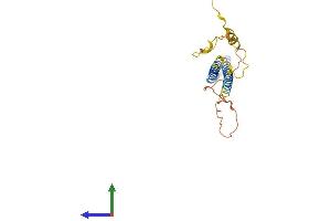 AlphaFold protein structure predicition of Human Recombinant NRSN2 Protein, UniprotID Q9GZP1
