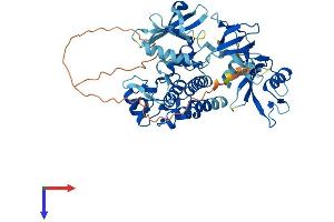 AlphaFold protein structure predicition of Human Recombinant TXK Protein, UniprotID P42681