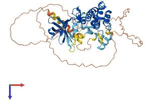 AlphaFold protein structure predicition of Human Recombinant CAMK1G Protein, UniprotID Q96NX5