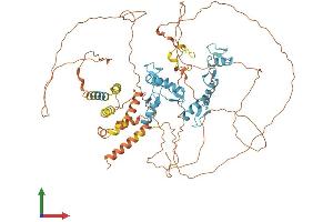 AlphaFold protein structure predicition of Mouse Recombinant Bcl6 Protein, UniprotID P41183