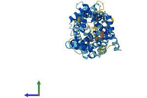 AlphaFold protein structure predicition of Human Recombinant SLC25A23 Protein, UniprotID Q9BV35