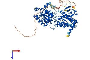 AlphaFold protein structure predicition of Mouse Recombinant Fut11 Protein, UniprotID Q8BHC9