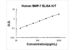 Bone Morphogenetic Protein 7 (BMP7) ELISA Kit