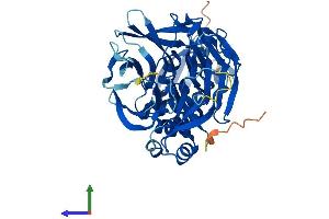AlphaFold protein structure predicition of Human Recombinant KBTBD13 Protein, UniprotID C9JR72
