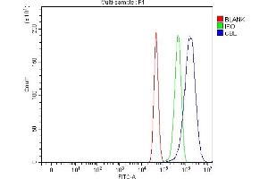 Flow Cytometry analysis of U87 cells using anti-CBL antibody (ABIN7601820).