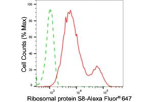 Flow cytometric analysis of ribosomal protein S8 expression in HepG2 cells using ribosomal protein S8 antibody (ABIN7800236), 1:2,000).