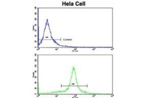 Flow Cytometry (FACS) image for anti-Golgi phosphoprotein 3 (Coat-Protein) (GOLPH3) antibody (ABIN3003212)
