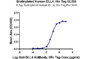 Immobilized Biotinylated Human DLL4, His Tag at 1 μg/mL (100 μL/Well) on the plate.