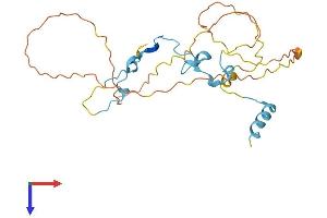 AlphaFold protein structure predicition of Human Recombinant CDC42EP3 Protein, UniprotID Q9UKI2