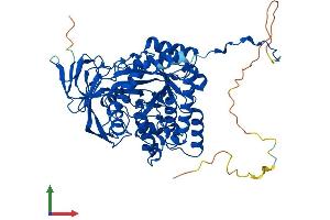 AlphaFold protein structure predicition of Human Recombinant DPYSL5 Protein, UniprotID Q9BPU6