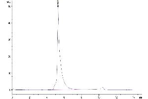 The purity of Human IL-2 R beta&IL-2 R gamma is greater than 95 % as determined by SEC-HPLC.