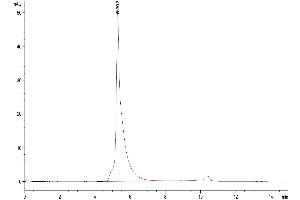 Size-exclusion chromatography-High Pressure Liquid Chromatography (SEC-HPLC) image for IL-2 R beta & IL-2 R gamma (AA 27-240) protein (Fc Tag) (ABIN7275026)