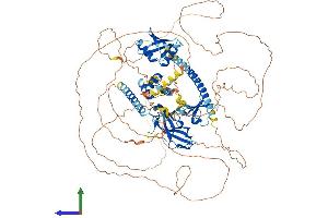 AlphaFold protein structure predicition of Human Recombinant NBR1 Protein, UniprotID Q14596