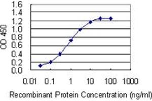 Detection limit for recombinant GST tagged CRTC3 is 0. (CRTC3 anticorps  (AA 176-274))