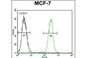 anti-Rac GTPase Activating Protein 1 (RACGAP1) (AA 23-50), (N-Term) antibody