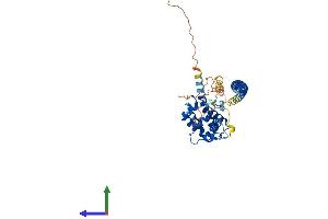 AlphaFold protein structure predicition of Mouse Recombinant Rundc3b Protein, UniprotID Q6PDC0