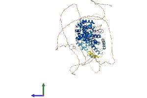 AlphaFold protein structure predicition of Human Recombinant CWC22 Protein, UniprotID Q9HCG8
