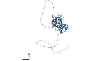 AlphaFold protein structure predicition of Human Recombinant PPIL4 Protein, UniprotID Q8WUA2