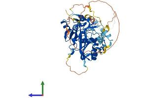 AlphaFold protein structure predicition of Human Recombinant METTL4 Protein, UniprotID Q8N3J2