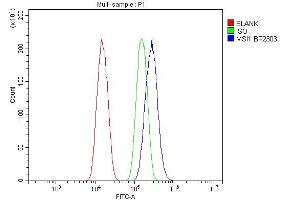 Flow Cytometry analysis of A549 cells using anti-MSI1 antibody (ABIN7601349). (MSI1 anticorps  (AA 33-347))