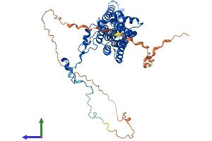 AlphaFold protein structure predicition of Mouse Recombinant Best2 Protein, UniprotID Q8BGM5