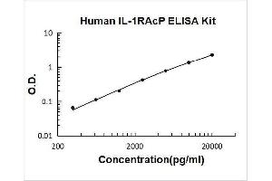 Interleukin 1 Receptor Accessory Protein (IL1RAP) ELISA Kit