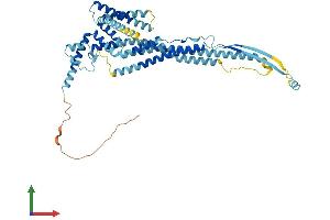 AlphaFold protein structure predicition of Mouse Recombinant Ocstamp Protein, UniprotID Q9D611