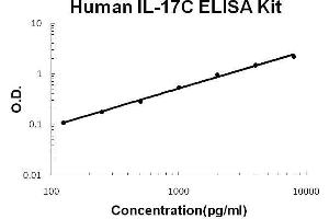 Human IL-17C PicoKine ELISA Kit standard curve (IL17C Kit ELISA)