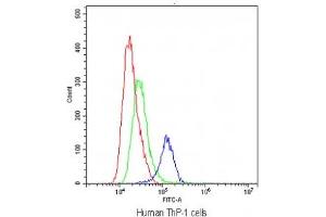 Flow cytometry testing of human ThP-1 cells with TLR1 antibody at 1ug/10^6 cells (blocked with goat sera) (TLR1 anticorps)