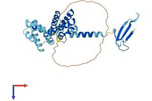 AlphaFold protein structure predicition of Mouse Recombinant Tcea1 Protein, UniprotID P10711