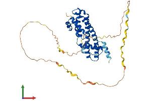 AlphaFold protein structure predicition of Mouse Recombinant Ist1 Protein, UniprotID Q9CX00