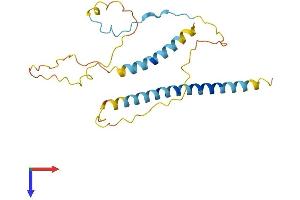 AlphaFold protein structure predicition of Human Recombinant EBAG9 Protein, UniprotID O00559