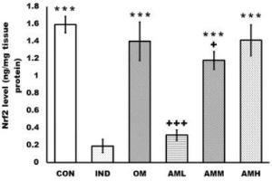 Amentoflavone inhibits the oxidative stress and activates the Nrf2/HO-1 cascade of the rats’ gastric mucosa. (NRF2 Kit ELISA)