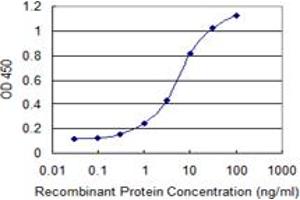 Detection limit for recombinant GST tagged MRPS36 is 0.