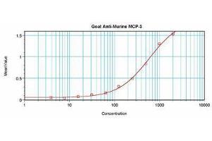 Image no. 2 for anti-Chemokine (C-C Motif) Ligand 7 (CCL7) antibody (ABIN465455) (CCL7 anticorps)