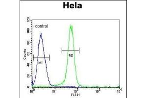 C15orf2 Antibody (Center) (ABIN6244208 and ABIN6579051) flow cytometric analysis of Hela cells (right histogram) compared to a negative control cell (left histogram). (NPAP1 anticorps  (AA 348-377))
