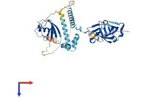 AlphaFold protein structure predicition of Mouse Recombinant Ddi1 Protein, UniprotID Q9DAF3