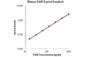 ELISA image for Neurotrophic Tyrosine Kinase, Receptor, Type 2 (NTRK2) ELISA Kit (ABIN3199234)