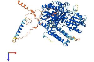 AlphaFold protein structure predicition of Mouse Recombinant Tfr2 Protein, UniprotID Q9JKX3