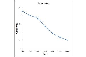 Antigen: 2 µg/100 µL  Primary: Antiserum, 1:500, 1:1000, 1:2000, 1:4000, 1:8000, 1:16000, 1:32000;  Secondary: HRP conjugated Rabbit Anti-Goat IgG at 1: 5000;  TMB staining Read the data in Microplate Reader by 450nm.