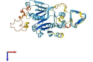 AlphaFold protein structure predicition of Human Recombinant EIF2B3 Protein, UniprotID Q9NR50