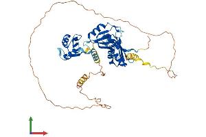 AlphaFold protein structure predicition of Mouse Recombinant Celf3 Protein, UniprotID Q8CIN6