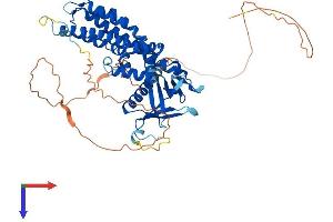 AlphaFold protein structure predicition of Human Recombinant ARHGEF3 Protein, UniprotID Q9NR81