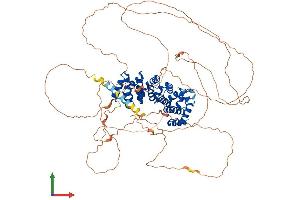 AlphaFold protein structure predicition of Mouse Recombinant Armcx2 Protein, UniprotID Q6A058