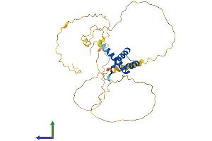 AlphaFold protein structure predicition of Mouse Recombinant Hoxd11 Protein, UniprotID P23813