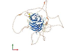 AlphaFold protein structure predicition of Mouse Recombinant Dtl Protein, UniprotID Q3TLR7