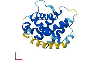 AlphaFold protein structure predicition of Human Recombinant BCL2A1 Protein, UniprotID Q16548